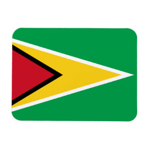 Ímã Bandeira patriótica de Guyana