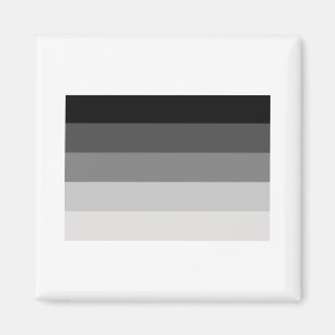 IMÃ BANDEIRA RETA OFICIAL
