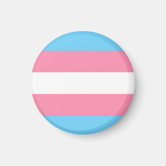 Imã bandeira trans em ímã