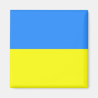 Imã Bandeira Ucraniana