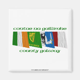 Imã Bandeiras de Galway do condado
