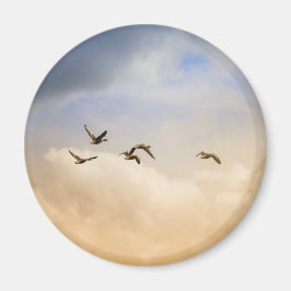 Imã Bando de Aves em Voo
