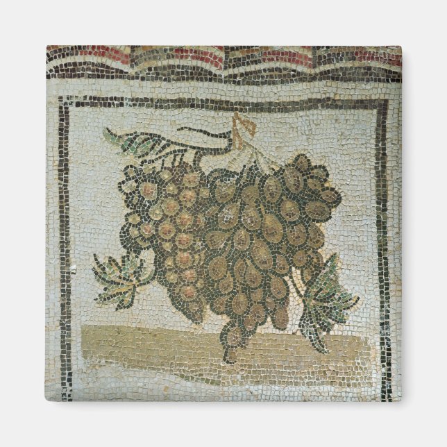 Imã Bando de uvas brancas, mosaico romano (Frente)