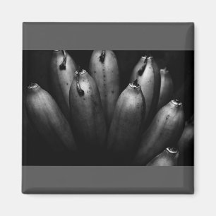 Imã bando divertido