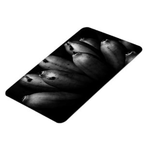 Ímã bando divertido