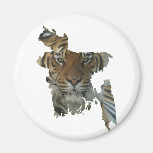 Imã Bangladesh-Tiger Magnet