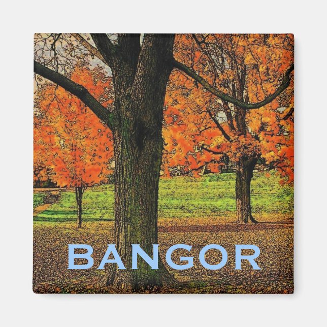 Imã Bangor Magnet (Frente)