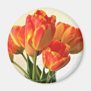 Imã Banja Luka Tulips