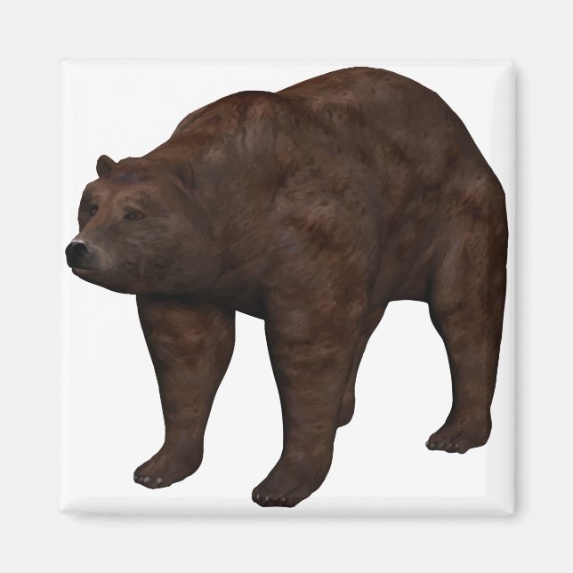 Imã Bär (Frente)
