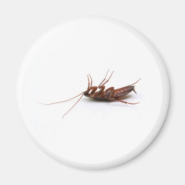 Imã barata morto (Frente)