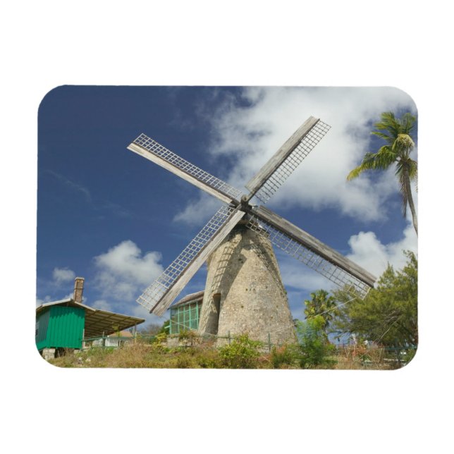 Ímã BARBADOS, Costa Nordeste, Morgan Lewis. (Horizontal)