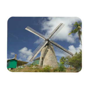Ímã BARBADOS, costa nordeste, Morgan Lewis: Morgan