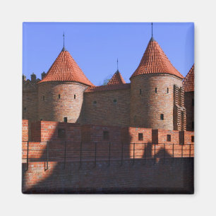 Imã Bárbaro, Varsóvia, Polônia