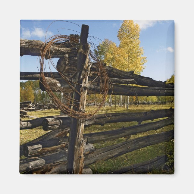 Imã Barbed Wire (Frente)