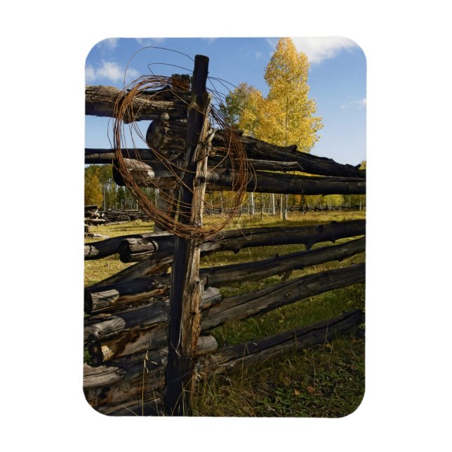 Ímã Barbed Wire (Vertical)