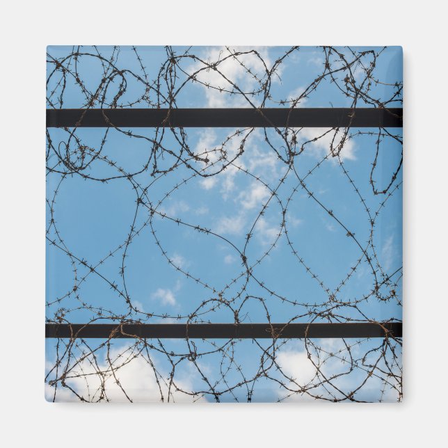 Imã Barbed Wire Em Amna Suraka (Frente)