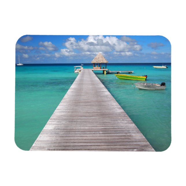 Ímã Barcos num jato no íman do retângulo Pacífico (Horizontal)