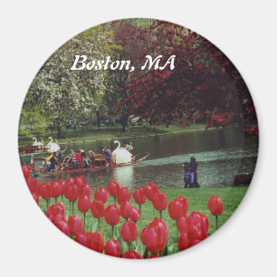 Imã Barcos Swan e Tulipas Vermelhas