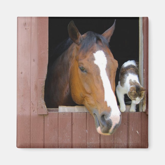 Imã Barn Buddies Magnet (Frente)