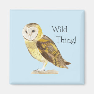 Imã Barn Owl
