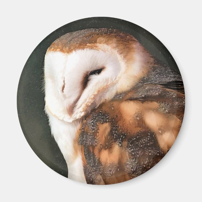 IMÃ BARN OWL (Frente)