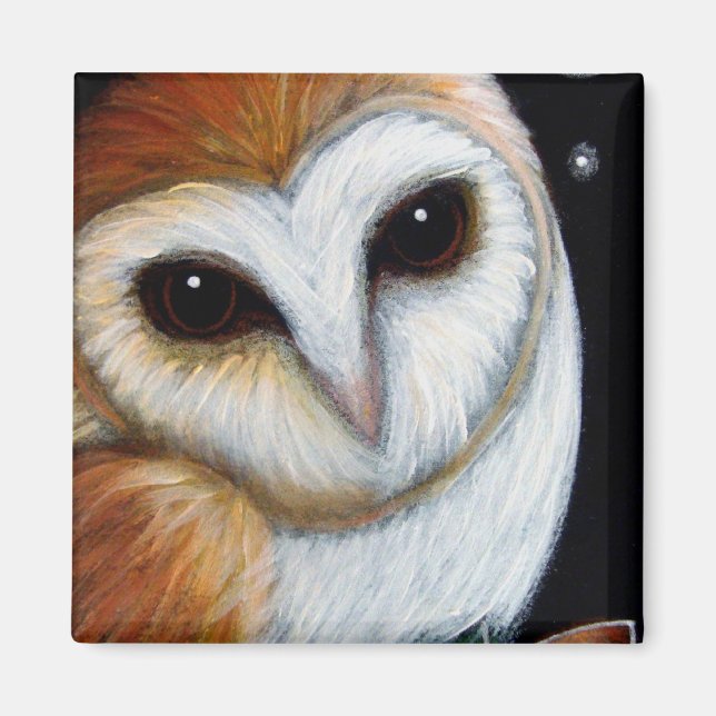 Imã BARN OWL FECHAR O Magnet (Frente)