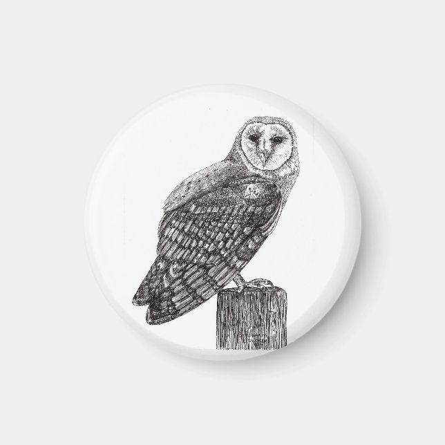 Imã Barn Owl Magnet (Frente)