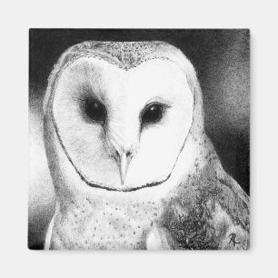 Imã Barn Owl Magnet - "Grayson"