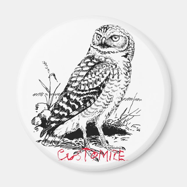 Imã Barn Owl Thunder_Cove (Frente)