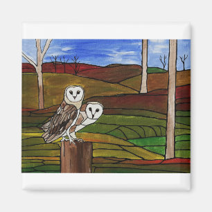 IMÃ BARN OWLS
