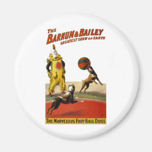 Imã Barnum e Bailey: Cães do futebol
