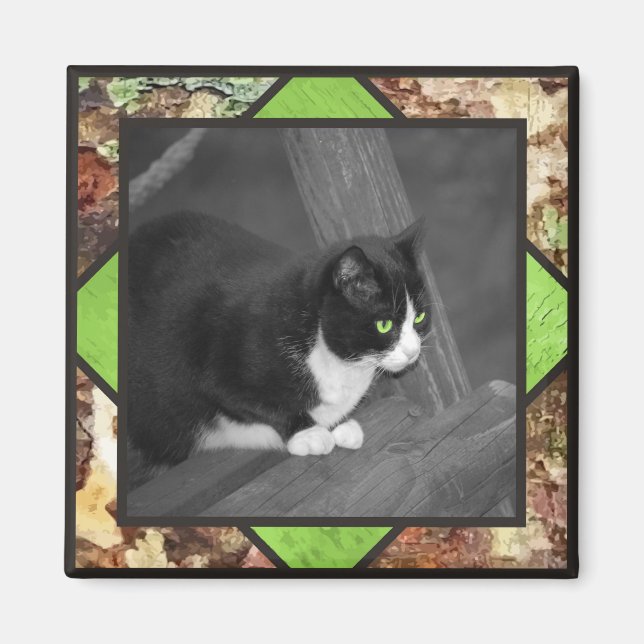 Imã Barnyard Cat Magnet (Frente)