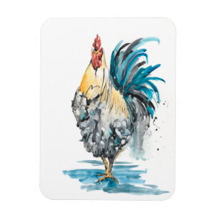 Ímã Barra do Rooster - Retrato de Aquarela