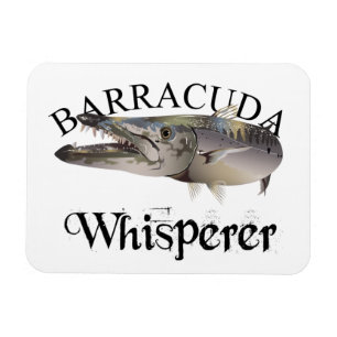 Ímã Barracuda Whisperer - Cor da Luz