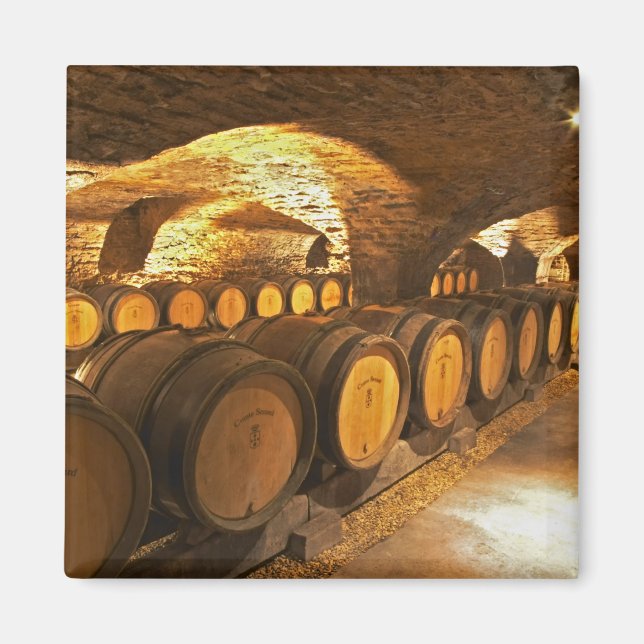 Imã Barreiras de carvalho na adega Domaine Comte (Frente)