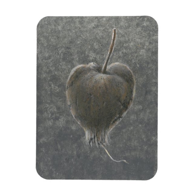 Ímã Barringtonia Acutangula 2 (Vertical)