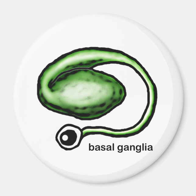 Imã Basal Ganglia Magnet (Frente)