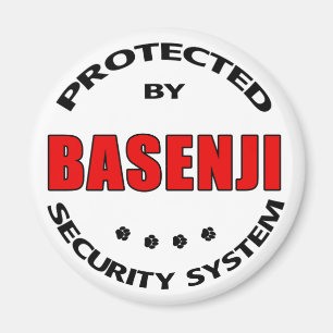 Imã Basenji Dog Security