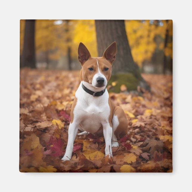 Imã Basenji no outono deixa cair inspiração (Frente)