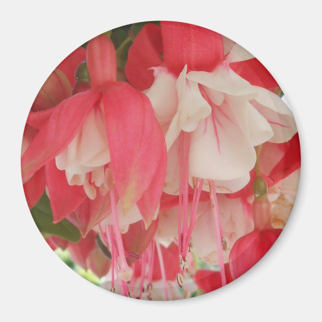 Imã Bashkirtseff (Frente)