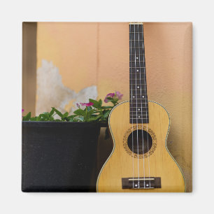 Imã Bass Guitar Incrível