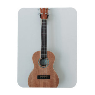 Ímã Bass Guitar Incrível
