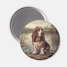 Imã Basset Hound