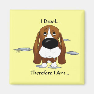 Imã Basset Hound - eu Drool… conseqüentemente mim s