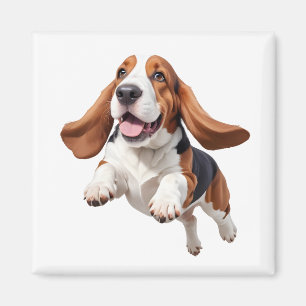 Imã Basset Hound Feliz Brincadeira Pulando No Ar