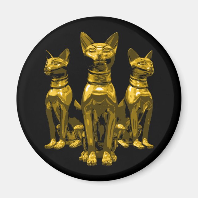 Imã Bastão (Frente)