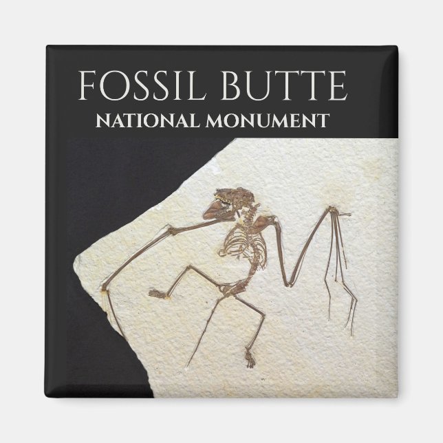 Imã Bat Fossil, Monumento Nacional de Buttera Fóssil (Frente)