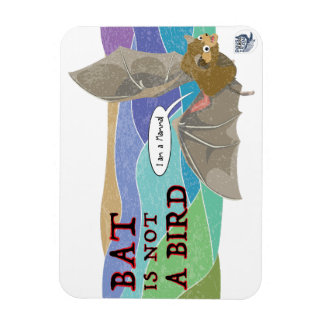Ímã Bat não é um pássaro