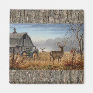 Imã Batalha Dos Bens