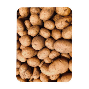Ímã Batata